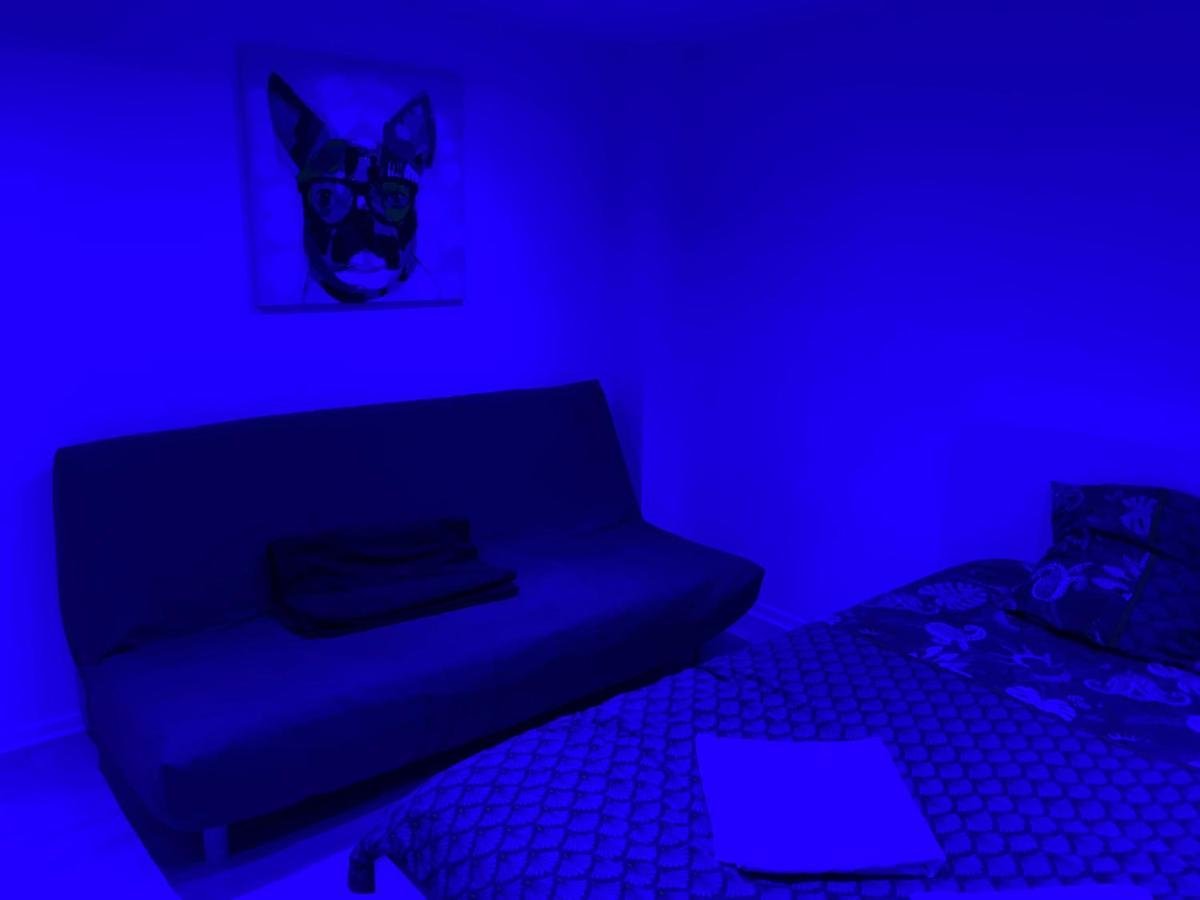 Appartement 2Eme Etage 42M2 Hyper Centre Ville / Parking Gratuit リオン エクステリア 写真